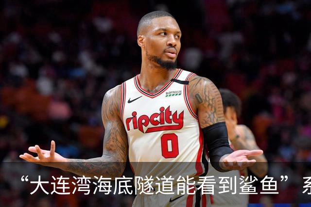 “大连湾海底隧道能看到鲨鱼”系谣言（2026·08·04）