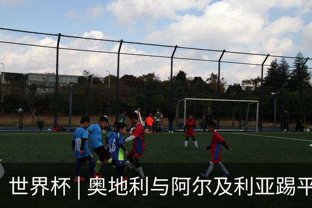 世界杯 | 奥地利与阿尔及利亚踢平携手晋级送伊朗出局