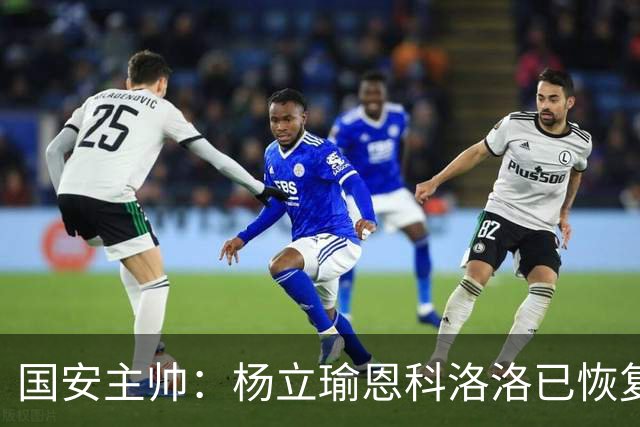 国安主帅：杨立瑜恩科洛洛已恢复 球队有很多要提升的地方