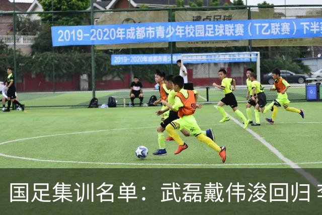 国足集训名单：武磊戴伟浚回归 李昊首次入围