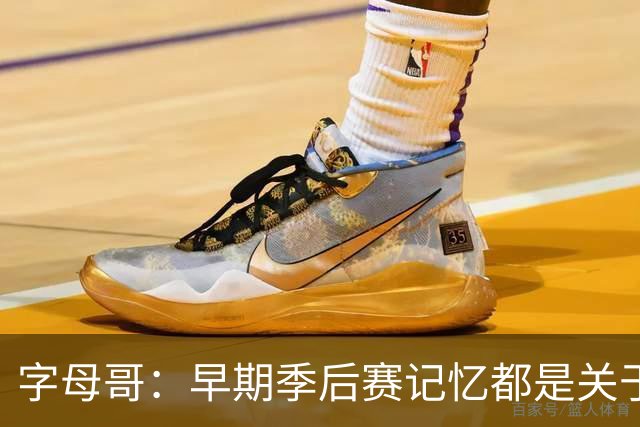 字母哥：早期季后赛记忆都是关于热火的 看到詹韦激励自己要变强