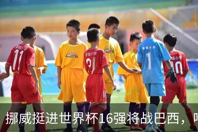 挪威挺进世界杯16强将战巴西，哈兰德发声