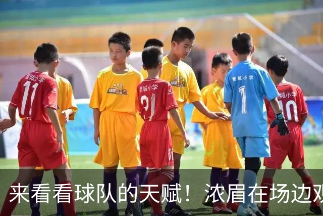 来看看球队的天赋！浓眉在场边观战奇才对爵士的夏季联赛