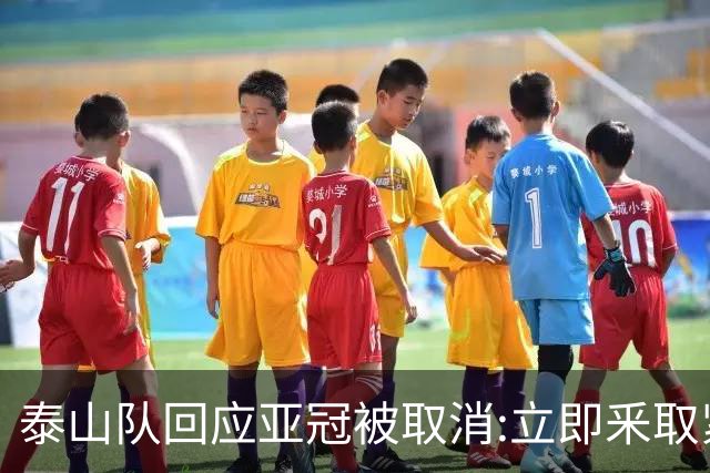 泰山队回应亚冠被取消:立即釆取紧急措施 积极应对