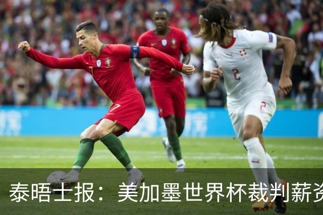 泰晤士报：美加墨世界杯裁判薪资待遇确定，最高可获得10万美元