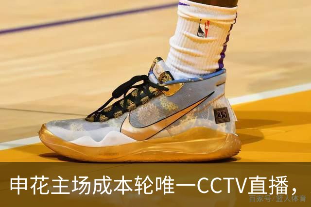 申花主场成本轮唯一CCTV直播，米洛耶维奇团队包厢观赛