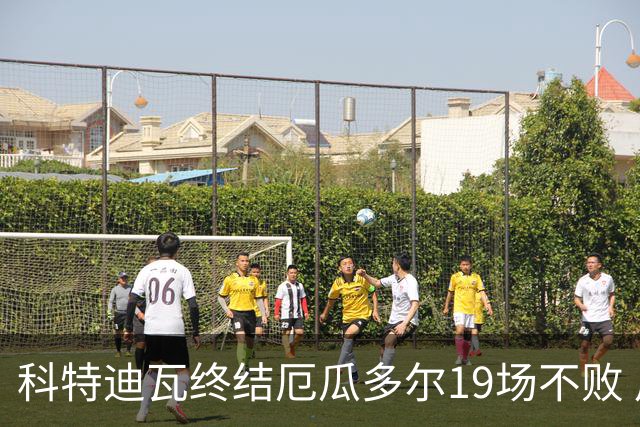 科特迪瓦终结厄瓜多尔19场不败 用韧性拿到世界杯开门红