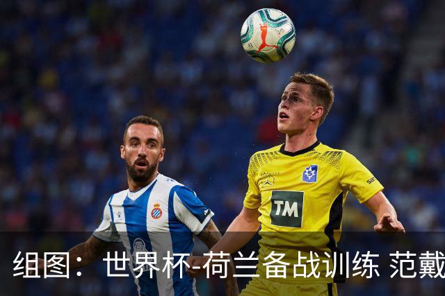 组图：世界杯-荷兰备战训练 范戴克慢跑放松