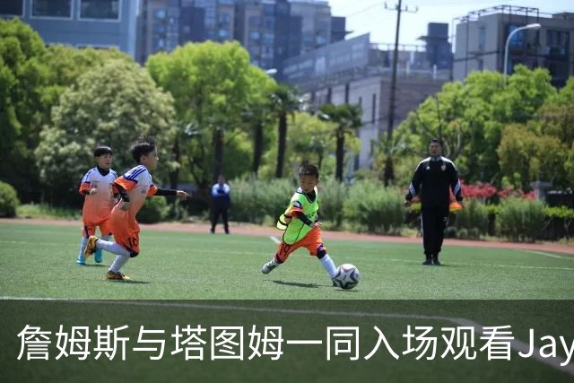詹姆斯与塔图姆一同入场观看Jay–Z演唱会 詹姆斯向身边观众问好