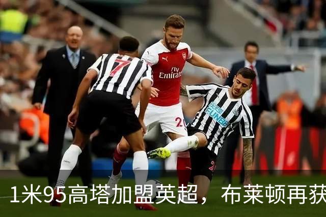 1米95高塔加盟英超，布莱顿再获廉价锋线利器