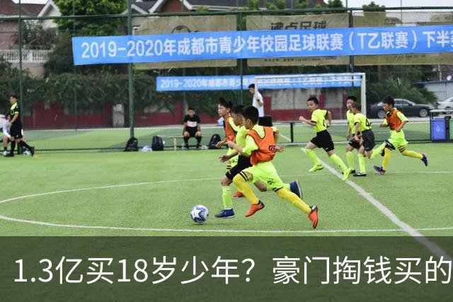 1.3亿买18岁少年？豪门掏钱买的是未来权益