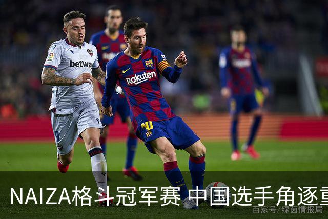 NAIZA格斗冠军赛 中国选手角逐重量级勇士特别腰带战直播回放