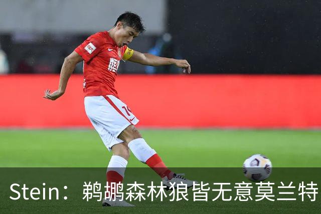 Stein：鹈鹕森林狼皆无意莫兰特 热火会担心他与字母搭档没空间